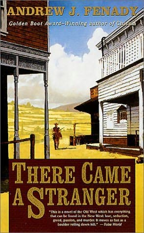 There Came a Stranger by Andrew J Fenady